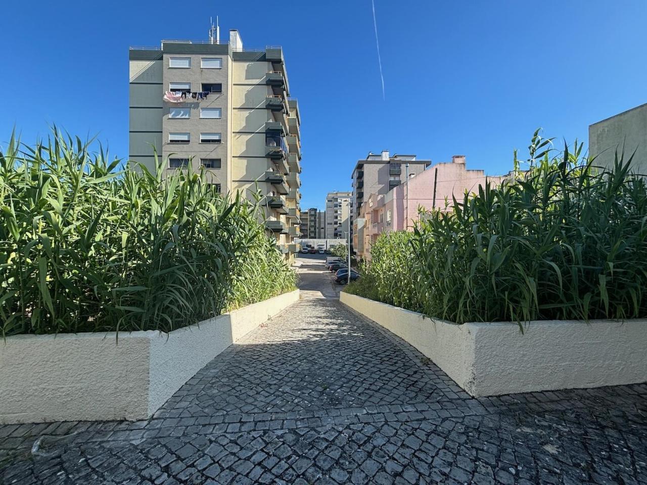 Rosario - Two Bedroom Apart- Buarcos - فيغيورا دا فوز المظهر الخارجي الصورة